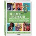 Создание персонажей для комиксов, видеоигр и книжной иллюстрации