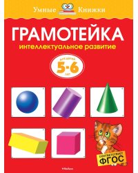 Грамотейка. Интеллектуальное развитие детей 5-6 лет