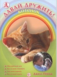 Котенок