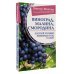 Виноград, малина, смородина. Богатый урожай любимых ягод в саду