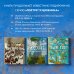 Рубенс, Рембрандт, Вермеер: и творчество других великих мастеров Золотого века Голландии в 500 картинах