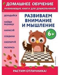 Развиваем внимание и мышление: для детей от 6 лет