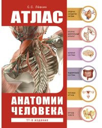 Атлас анатомии человека