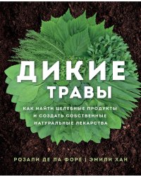 Дикие травы: как найти целебные продукты и создать собственные натуральные лекарства