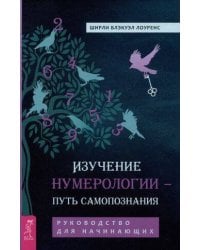 Изучение нумерологии — путь самопознания. Руководство для начинающих