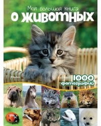 Моя большая книга о животных