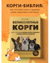 Великолепные корги. Все о породах вельш-корги-пемброк и вельш-корги-кардиган