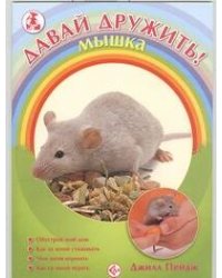 Мышка