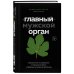 «Главный» мужской орган. Медицинские исследования, исторические факты и забавные культурные феномены