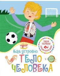 Как устроено тело человека