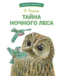 БШ. Тайна ночного леса