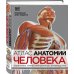 Атлас анатомии человека (DK). Подробное иллюстрированное руководство