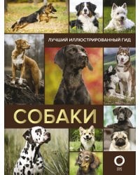 Собаки. Лучший иллюстрированный гид