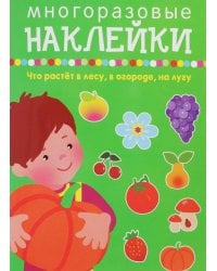 ЧТО РАСТЁТ В ЛЕСУ, В ОГОРОДЕ, НА ЛУГУ.