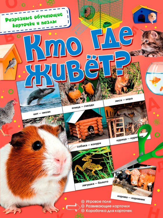 Кто где живёт?