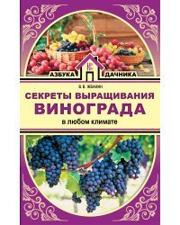 Секреты выращивания винограда в любом климате