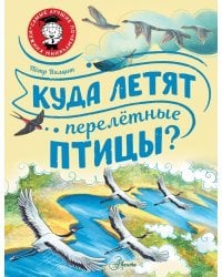 Куда летят перелётные птицы?