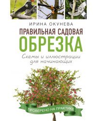 Правильная садовая обрезка. Схемы и иллюстрации для начинающих