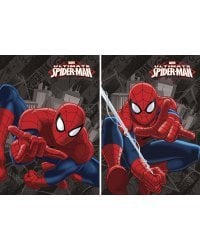 Бл 40л Клей 120*170 SM251,SM252-VQ выб УФ Spider-man