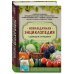 Новая дачная энциклопедия садовода и огородника