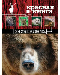 Красная книга. Животные нашего леса (ПР)