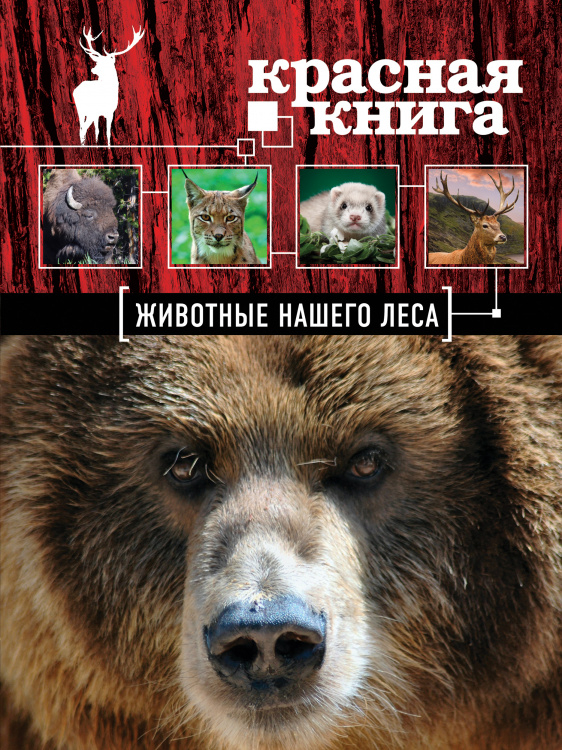 Красная книга. Животные нашего леса (ПР)