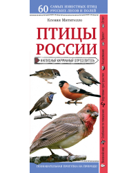 Птицы России. Наглядный карманный определитель (для ПР)