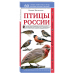 Птицы России. Наглядный карманный определитель (для ПР)