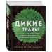 Дикие травы: как найти целебные продукты и создать собственные натуральные лекарства