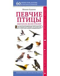 Певчие птицы. Обитатели лесов и полей