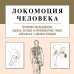 Локомоция человека. Протокол обследования, оценка, лечение и профилактика травм, связанных с циклом походки