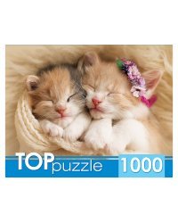 TOPpuzzle. ПАЗЛЫ 1000 элементов. ГИТП1000-2142 Два спящих котенка