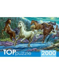 TOPpuzzle. ПАЗЛЫ 2000 элементов. ХТП2000-1594 Ночной табун лошадей