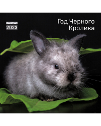 Год черного кролика. Календарь настенный на 2023 год (300х300 мм)