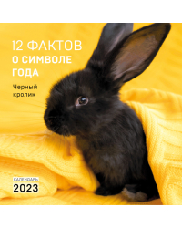 12 фактов о символе года. Черный кролик. Календарь настенный на 2023 год (300х300)