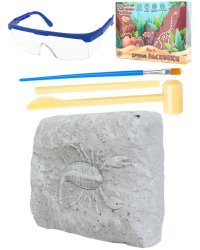 Набор археолога "Скорпион"(камень,4 инструмента,книжка,очки, маска, в коробке) (Арт. И-5870)