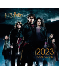 Гарри Поттер и Кубок огня. Календарь настенный на 2023 год (170х170 мм)