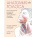 Анатомия голоса. Иллюстрированное руководство для певцов, преподавателей по вокалу и логопедов