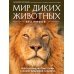 Мир диких животных без мифов. Невероятные фото-истории о жизни хищников саванны