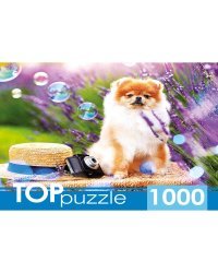 TOPpuzzle. ПАЗЛЫ 1000 элементов. ШТТП1000-9859 Шпиц в саду