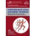 Современный атлас анатомии человека. Карманное пособие по строению костей, мышц, миофасциальных цепей и принципам движения тела