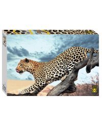 Мозаика "puzzle" 2000 "Леопард в дикой природе"