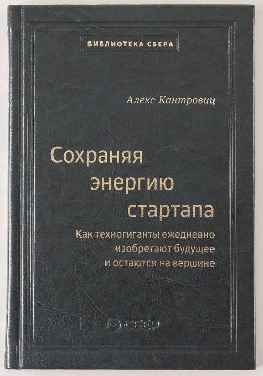 106_т_Сохраняя энергию стартапа: Как техногиганты ежедневно изобретают будущее и остаются на вершине