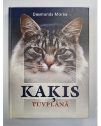 Kaķis tuvplānā