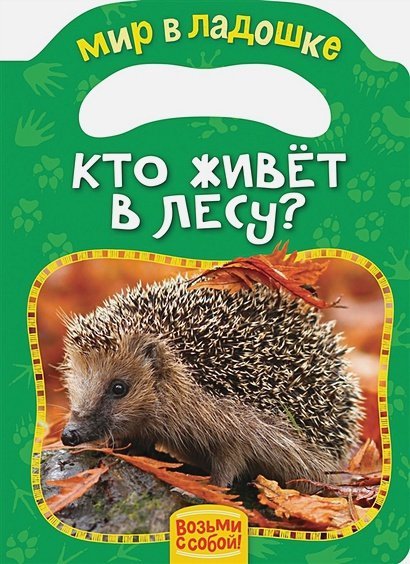 Кто живет в лесу?