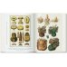 Seba. Cabinet of Natural Curiosities. 40th Ed.