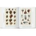 Seba. Cabinet of Natural Curiosities. 40th Ed.