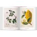 A Garden Eden. Masterpieces of Botanical Illustration. 40th Ed.