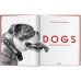 Walter Chandoha. Dogs. Photographs 1941–1991