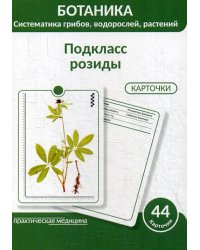 Ботаника. Систематика грибов, водорослей, растений. Подкласс розиды. 44 карточки